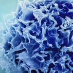 Μια Εύκολη Ένεση: Μεταμορφώνει το Ανοσοποιητικό σε Φονικό Όπλο κατά του Καρκίνου!