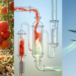 Πώς τα Αγροτικά Απόβλητα Γίνονται Καύσιμα για Αεροσκάφη: Μια Βιώσιμη Λύση!